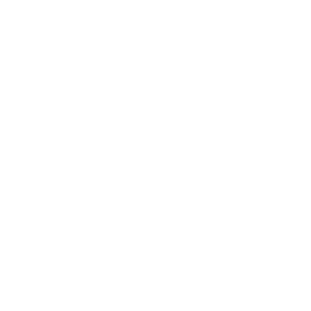symbol_ski